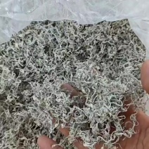 藤茶