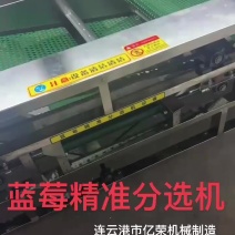 蓝莓分选机