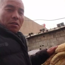 丝瓜络