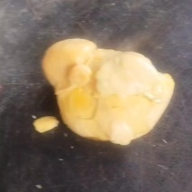 今天杀鸡刚取出的鸡宝