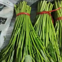 精品空心菜。
