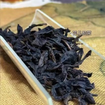 老树水仙