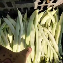看上的联系我，***********