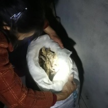 耒阳市农家笋干自己晒制的