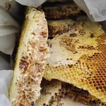 正宗的自己深山老林找得的土蜂蜜***任何东西，骗人的吗走