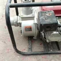 草鱼，淡水鱼，农家鱼，土生土长，，无饲料