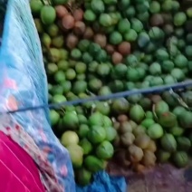 大量有货接挂车单