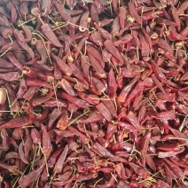 辣椒🌶️