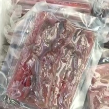 海肠