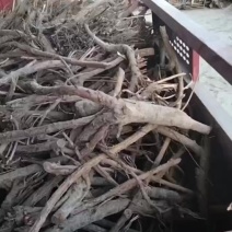 毛品干草
