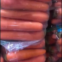 精品红萝卜