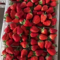 香叶甜宝草莓寻找收货伙伴