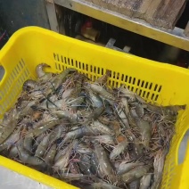 海鲜