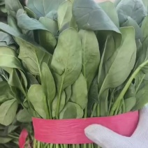 有量，来就行了