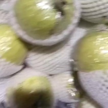 青皮皇冠梨