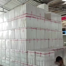 云南精品油麦菜产地直供，代发，加工，包装，物流运输服务