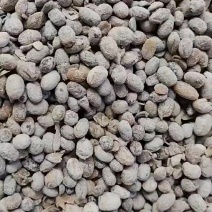 发酵大豆