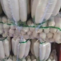 精品货