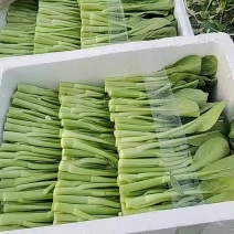 开工营业了，欢迎各位老板订货