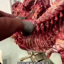 新鲜带皮驴肉，驴排，驴腿肉，肚腩