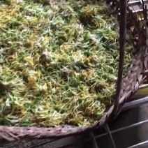 金银花