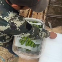 云南高原香蕉