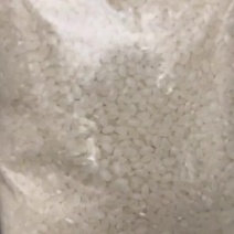 原种南粳46