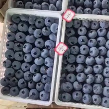 电商**:精品蓝莓。新品上市。各种规格。可定制，加工。包装，