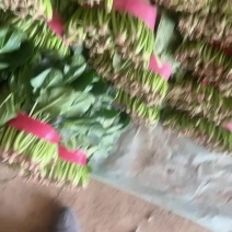 菠菜
