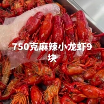 麻辣小龙虾货源稳定正规渠道供应规格多样满足您不同需求