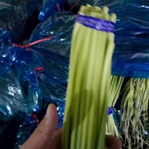 精品剪修蒜苔支持批发商超，电商一件代发，代发价11.✕