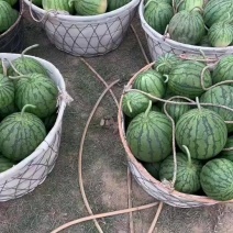 【农友特小凤】比初恋还甜皮薄如纸黄瓤似蜜自产自销价格面议