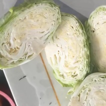 山东平度扁包菜常年供应价格低质量优欢迎采购
