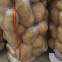 山东青岛平度冷库翻包黄土豆大量供应价格优惠质量保证