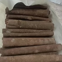 广西高山肉桂,深山肉桂老肉桂,水洗肉桂,油桂,桂通,通货