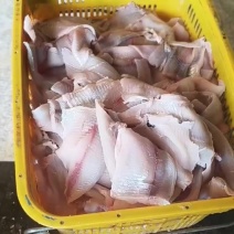 花白鲢鱼肉，现做现发，全年供应上千吨鱼肉，鲜鱼肉，