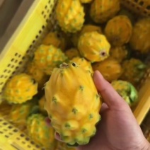 燕窝果