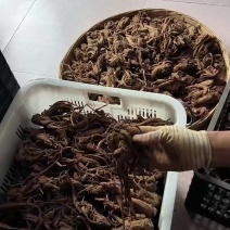 云南当归，物美价廉，要的越多优惠越多，有需要的老板可联系