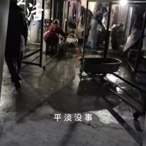 红薯粉丝