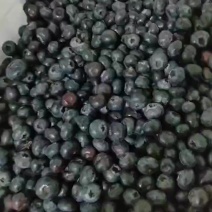蓝莓等外果