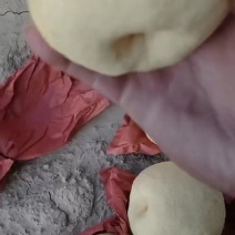 山西祁县高山蜜梨，口感甜，皮毛亮，