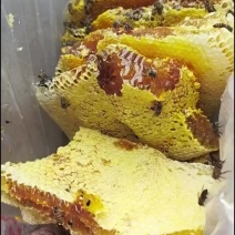 要多有优惠两广地区可包邮