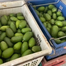 香水柠檬