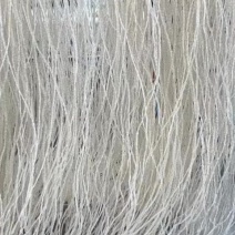 红薯粉丝