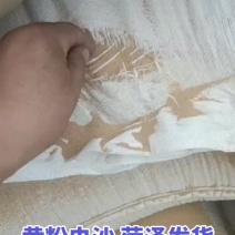 山东定陶黄粉虫虫沙