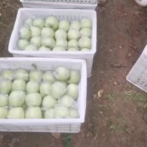 黄元帅苹果