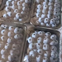 L25品质高，果粉煞白，香甜可口，硬度高。