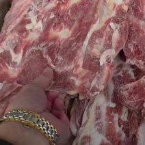 国产牛羽骨纯干公牛白油肉嫩好煮抄码40斤