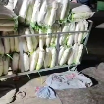 通货萝卜