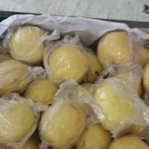 优质蜜梨大量有货，质量**脆甜可口，产地直销河北昌黎。